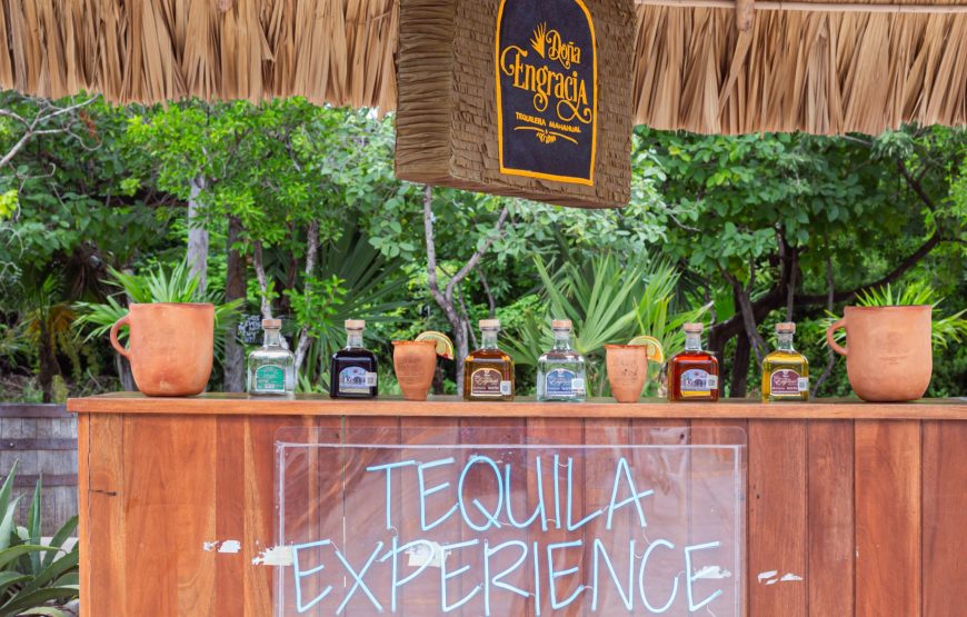 Chacchoben Mayan Ruins Excursion  & Tequila Tasting Tour