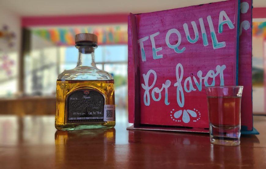 Chacchoben Mayan Ruins Excursion  & Tequila Tasting Tour